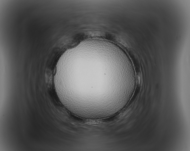 X0000086081251200704132055