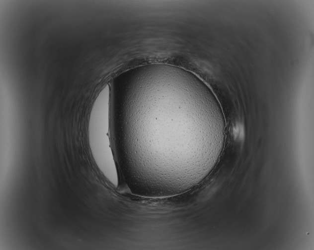 X0000086081252200704132055