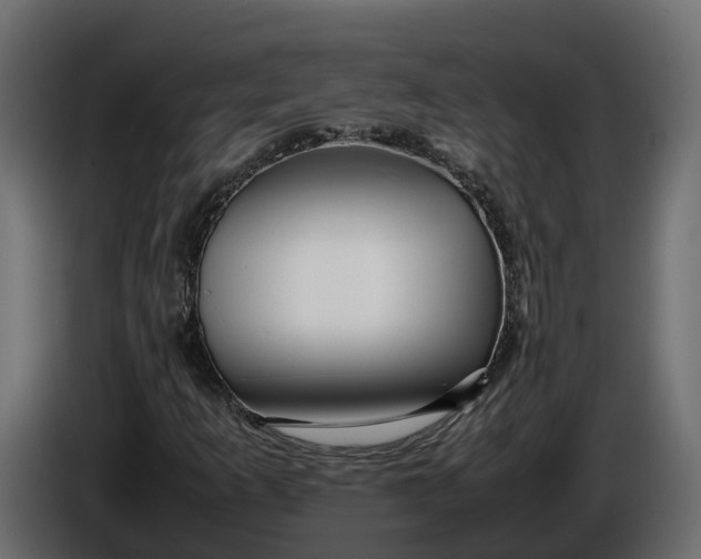 X0000086081253200704132055