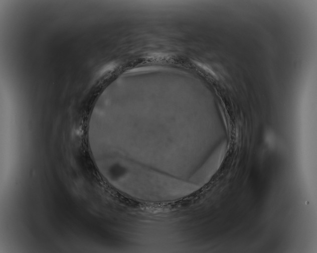 X0000086081254200704132055