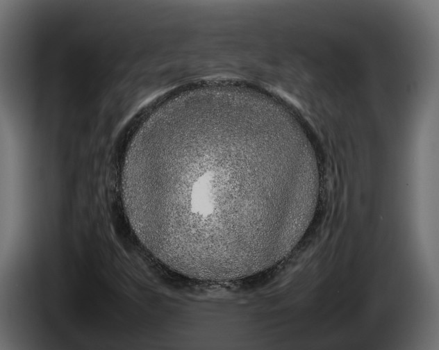 X0000086081255200704132055