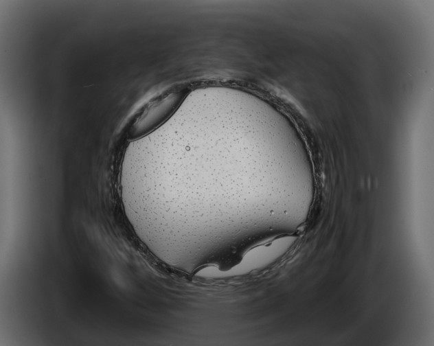 X0000086081256200704132055