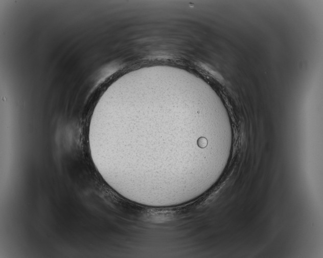 X0000086081258200704132055