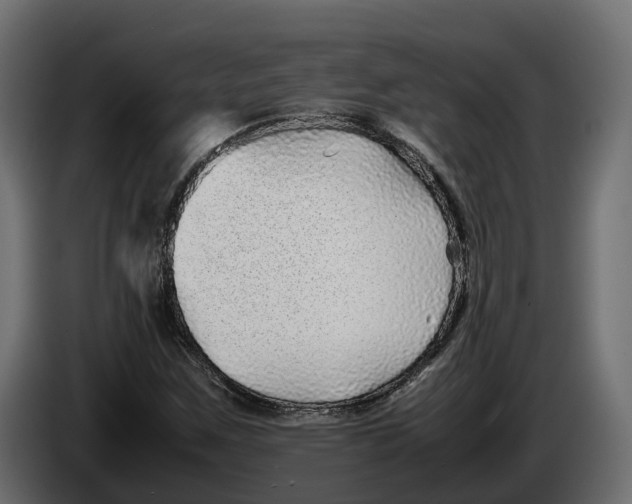 X0000086081259200704132055