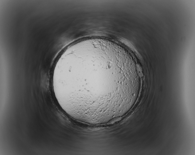 X0000086081260200704132055