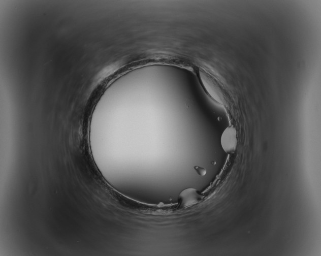 X0000086081261200704132055