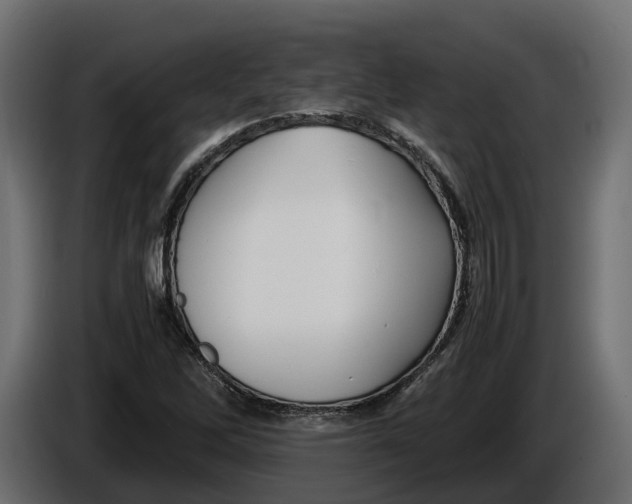 X0000086081262200704132055