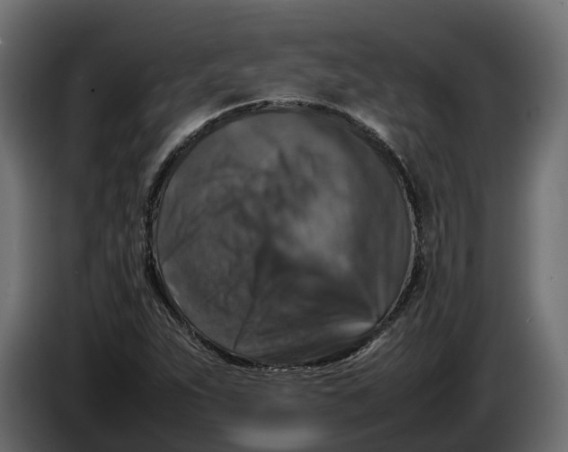 X0000086081263200704132055