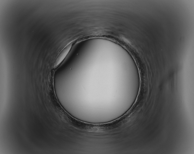 X0000086081265200704132055