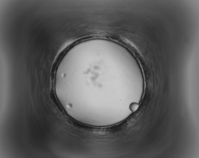 X0000086081267200704132055