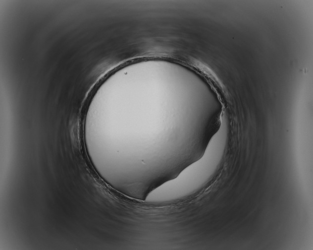 X0000086081268200704132055