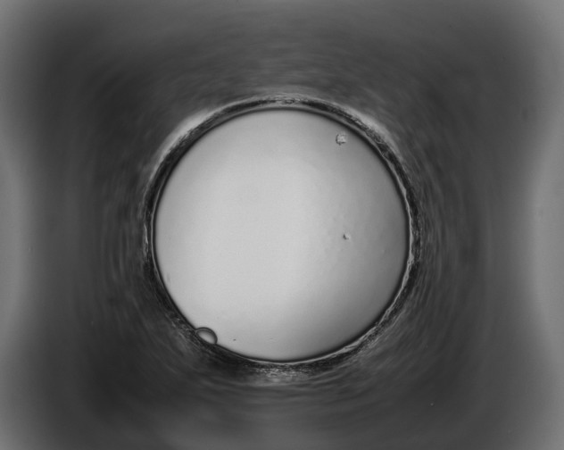 X0000086081271200704132055