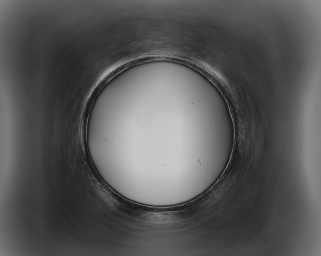 X0000086081272200704132055