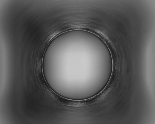 X0000086081273200704132055