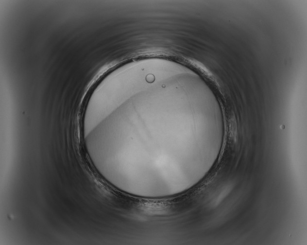 X0000086081274200704132055