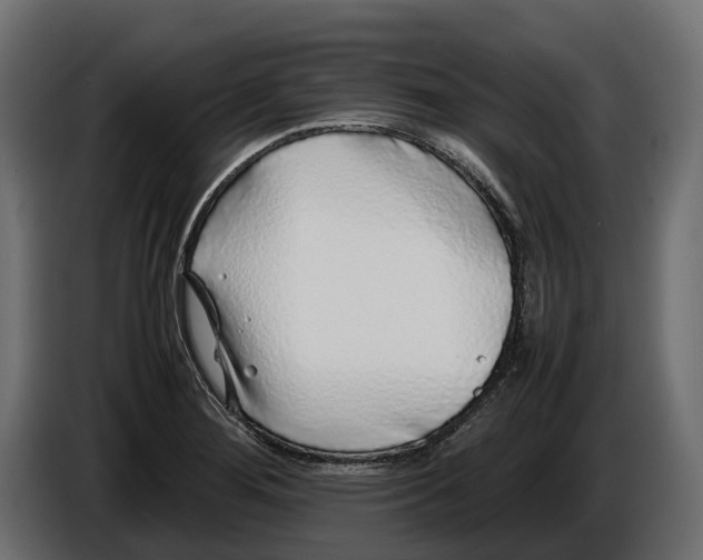 X0000086081276200704132054