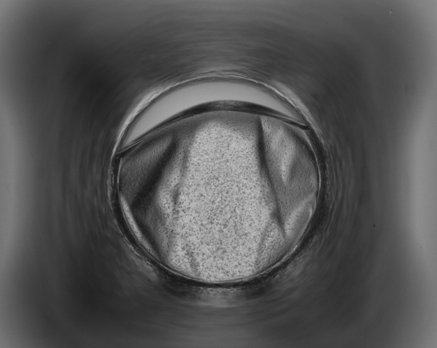 X0000086081277200704132054