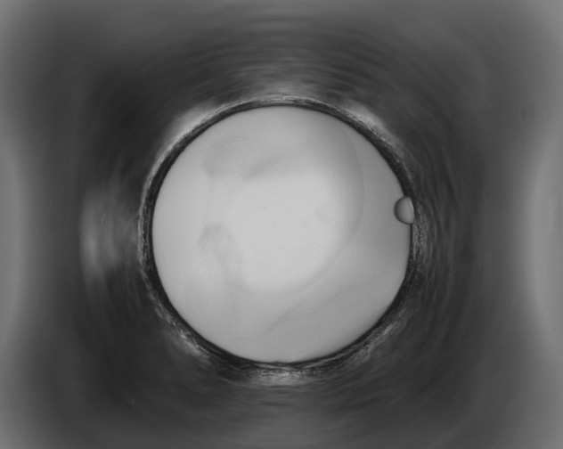 X0000086081278200704132054