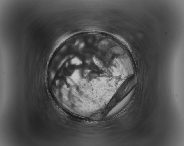 X0000086081279200704132054