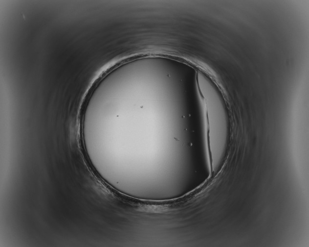 X0000086081280200704132054