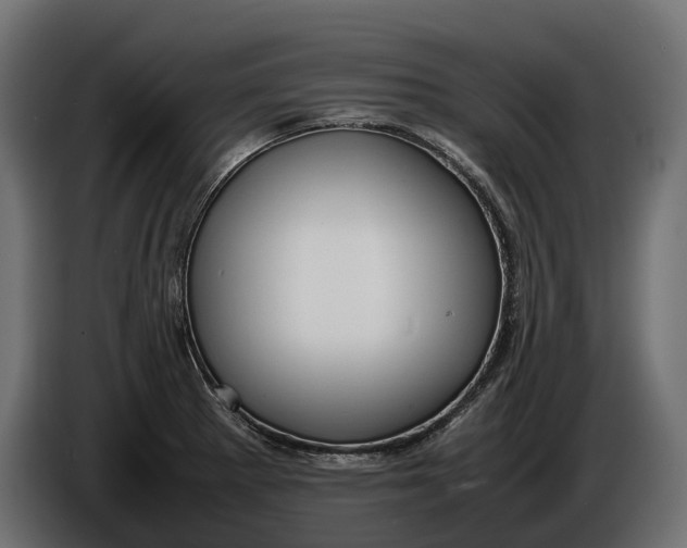 X0000086081281200704132054