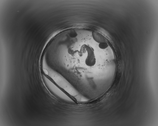 X0000086081283200704132054