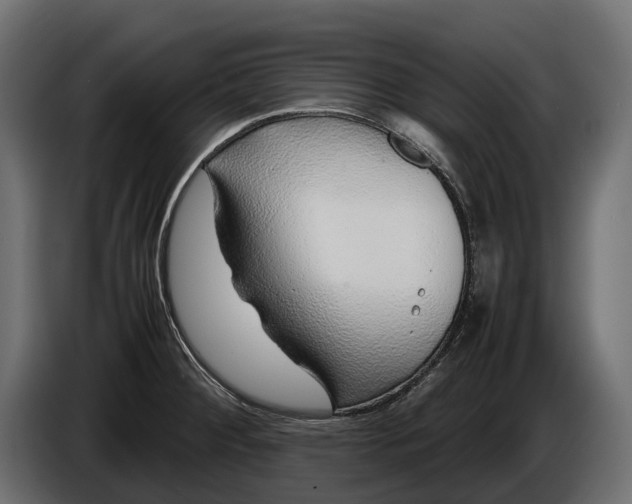 X0000086081284200704132054