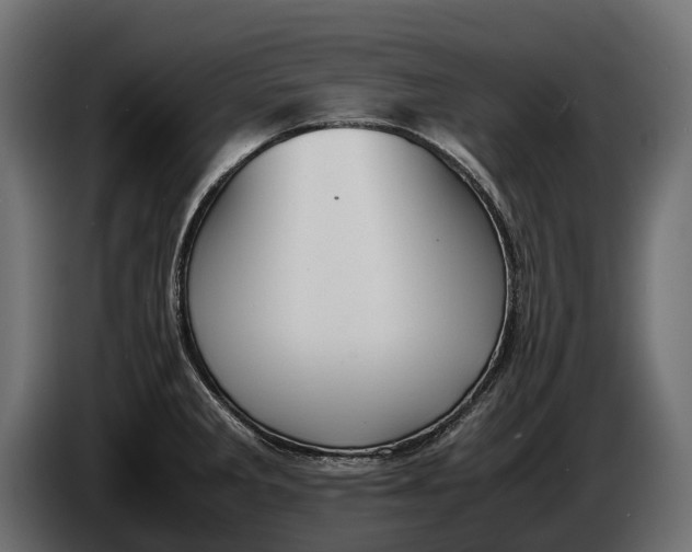 X0000086081285200704132054