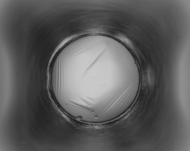 X0000086081286200704132054