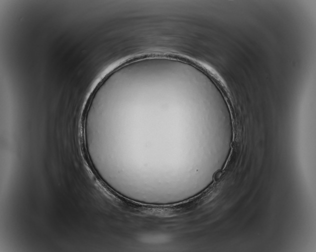 X0000086081287200704132054