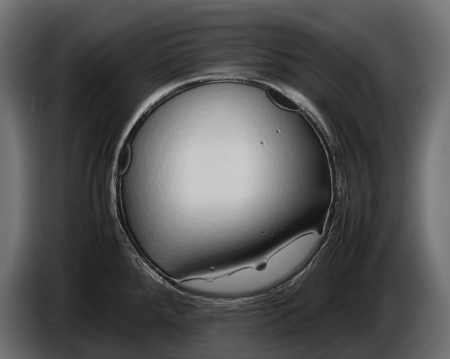 X0000086081288200704132054