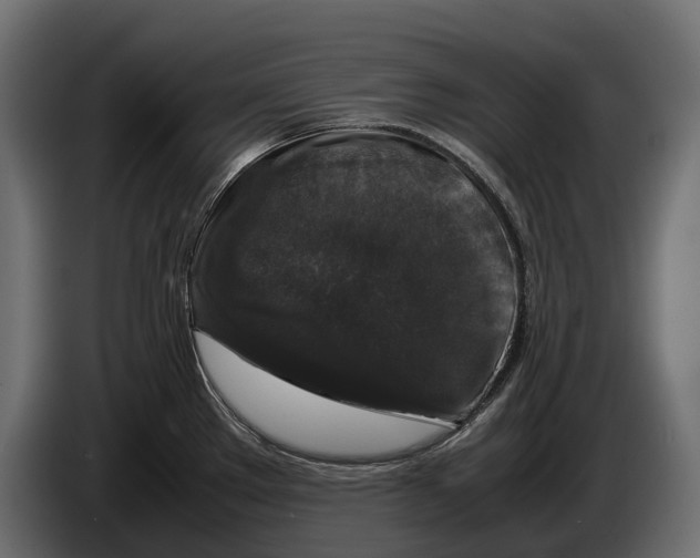 X0000086081289200704132054