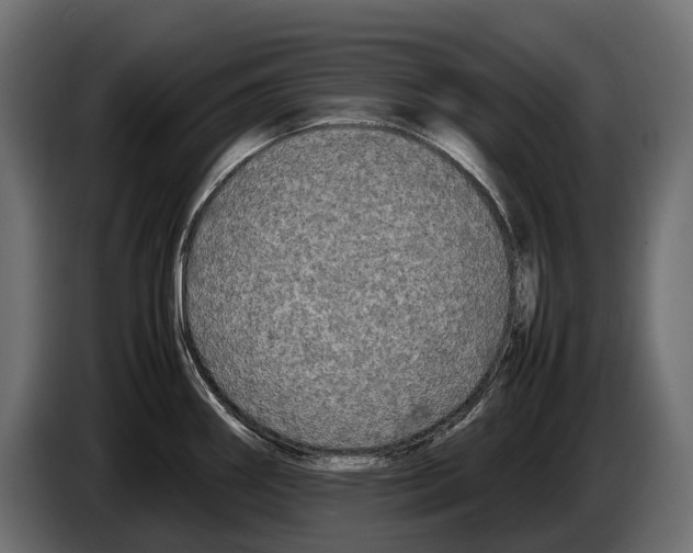 X0000086081290200704132054