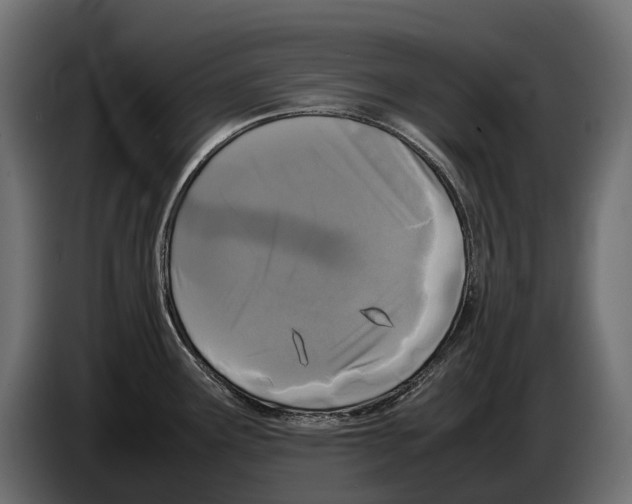 X0000086081291200704132054