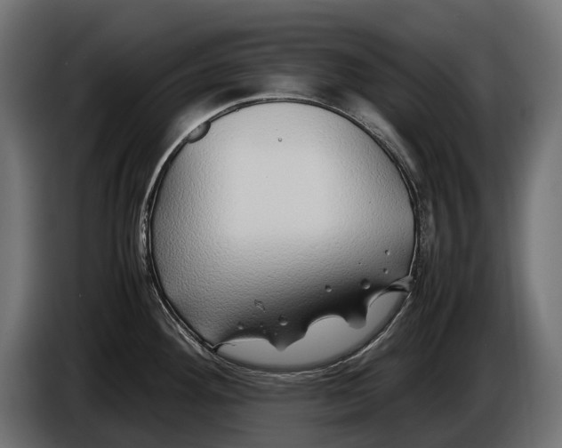 X0000086081292200704132054