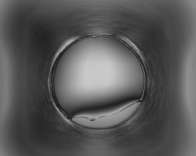 X0000086081293200704132054