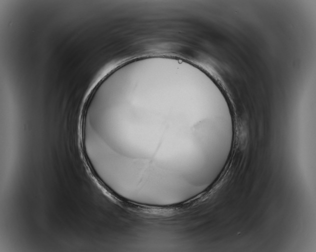 X0000086081294200704132054