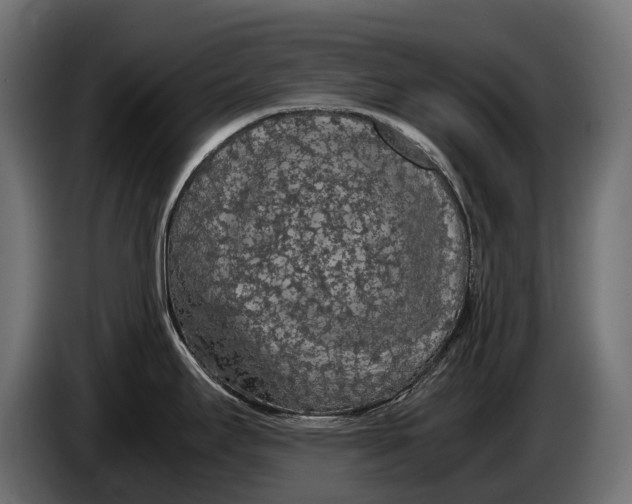 X0000086081295200704132054