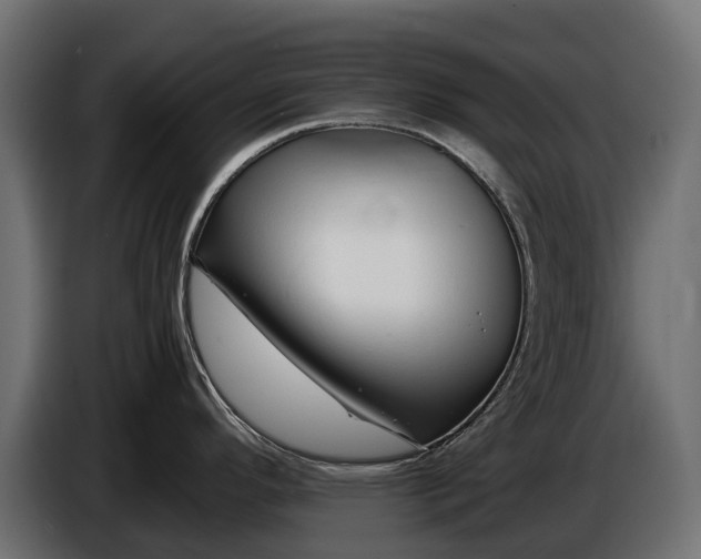 X0000086081296200704132054