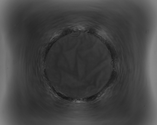 X0000086081297200704132054