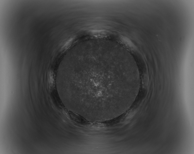 X0000086081298200704132054