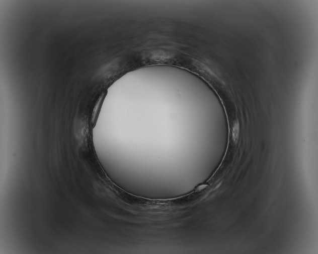 X0000086081299200704132054