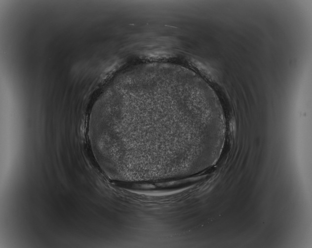 X0000086081300200704132054