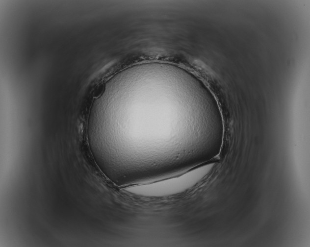 X0000086081302200704132054