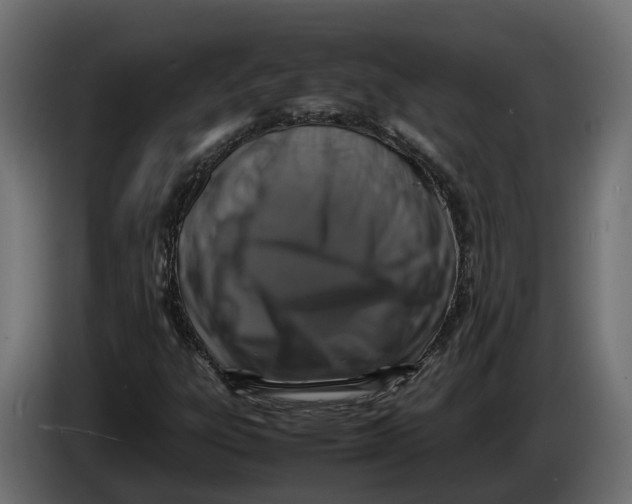 X0000086081303200704132054