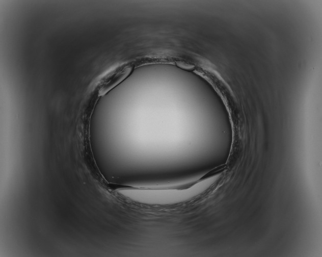 X0000086081304200704132054