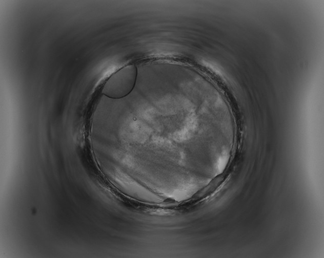 X0000086081306200704132054