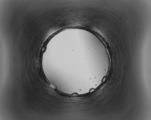 X0000086081308200704132054