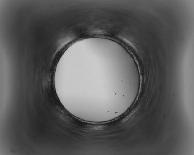 X0000086081309200704132054