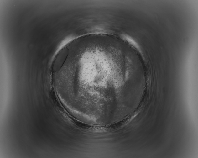 X0000086081310200704132054